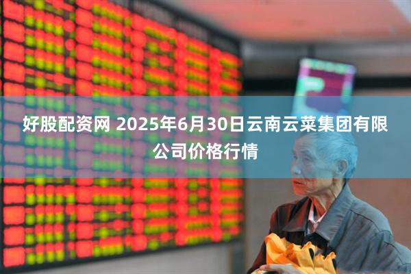 好股配资网 2025年6月30日云南云菜集团有限公司价格行情