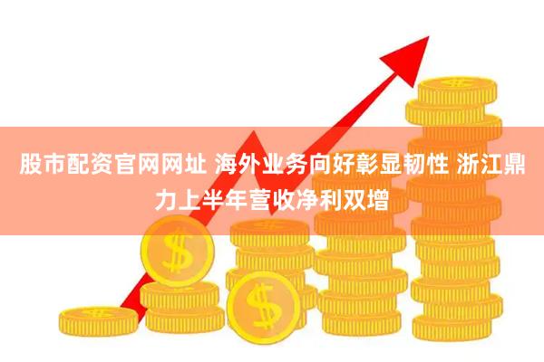 股市配资官网网址 海外业务向好彰显韧性 浙江鼎力上半年营收净利双增