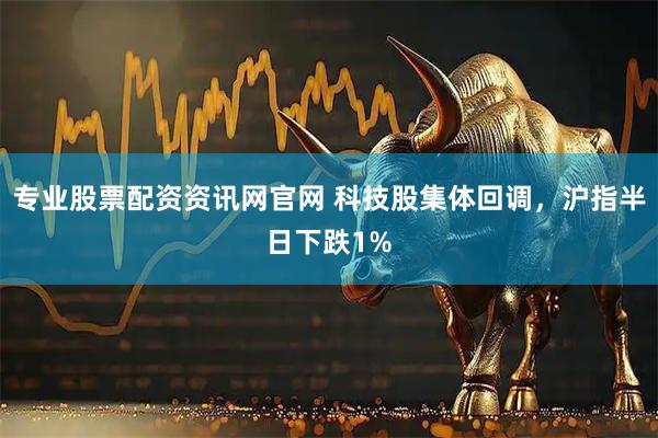 专业股票配资资讯网官网 科技股集体回调，沪指半日下跌1%